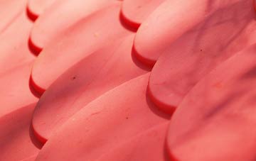 Luib plastic roof costs