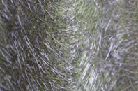 Luib fibreglass roof work